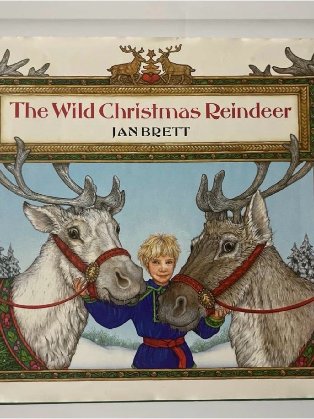 The Wild Christmas Reindeer - White & Brown
